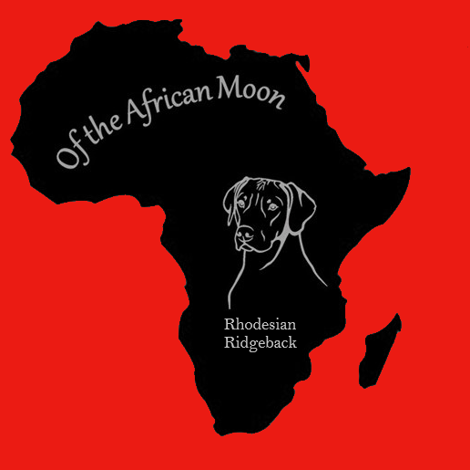 Welkom bij Rhodesian Ridgeback kennel Of the African moon